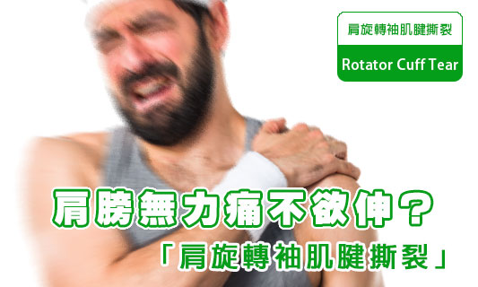 肩膊痛楚加劇「痛到想死」
小心肩旋轉袖肌腱撕裂！