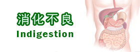 消化不良Indigestion