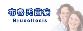 布魯氏菌病 Brucellosis 