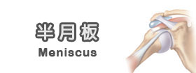 半月板Meniscus