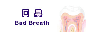口臭[Bad Breath]
