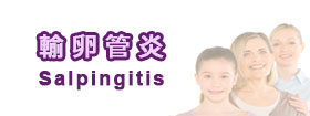 輸卵管炎Salpingitis